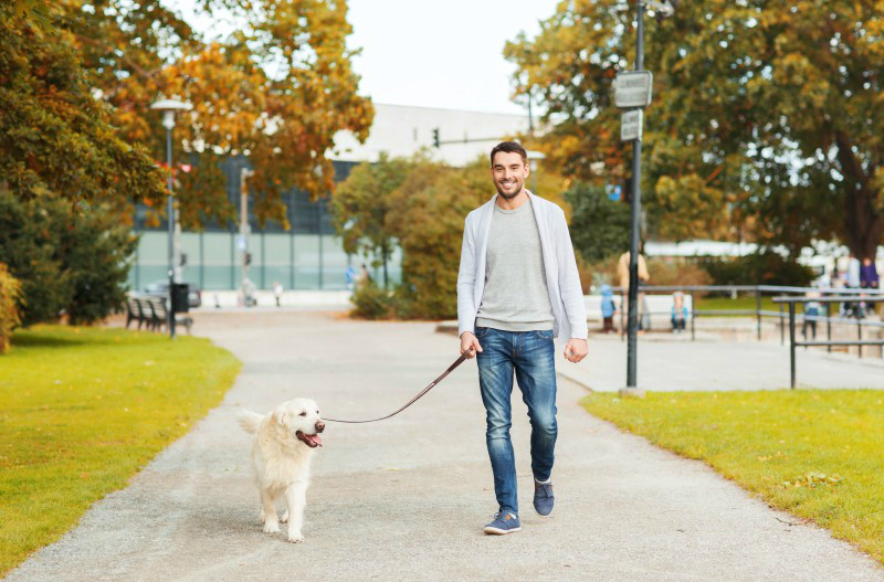 Flexible Dog Walking Services in NYC