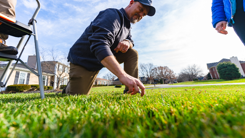 Finding Mosquito Treatment for Yards in Louisville, KY