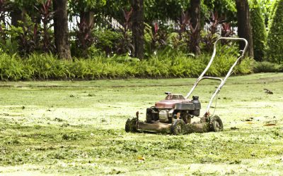 Who sells lawn mower belts? A comprehensive guide to reliable replacements